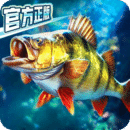 umfoot优美